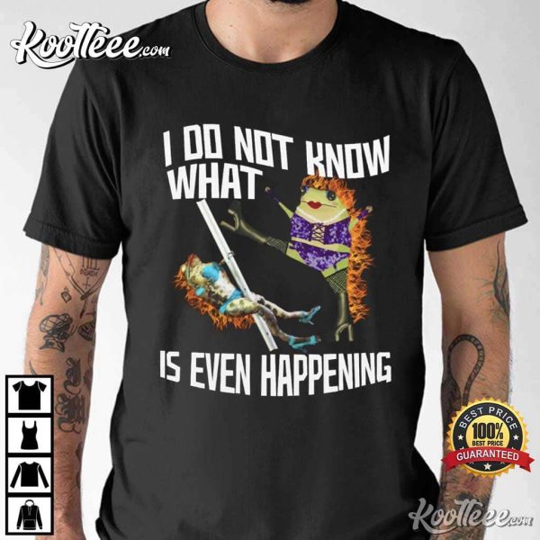 I Do Not Know What Is Even Happening Meme T-Shirt