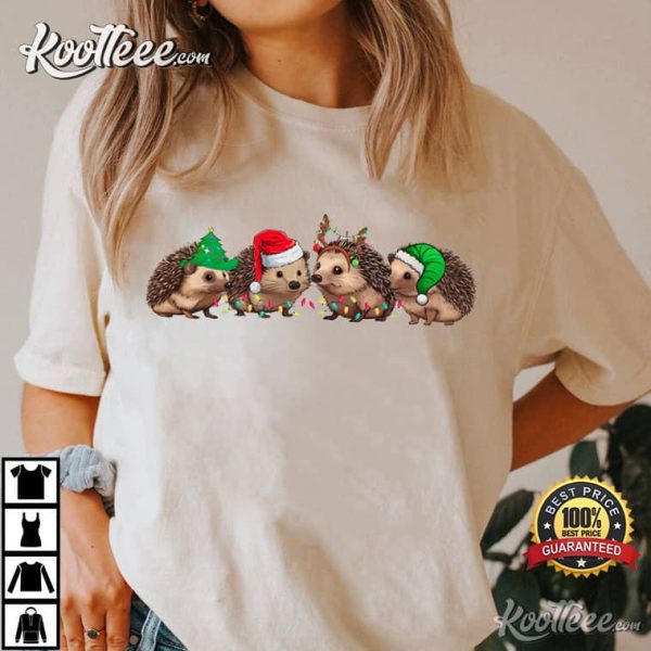 Hedgehog Merry Christmas Gift T-Shirt