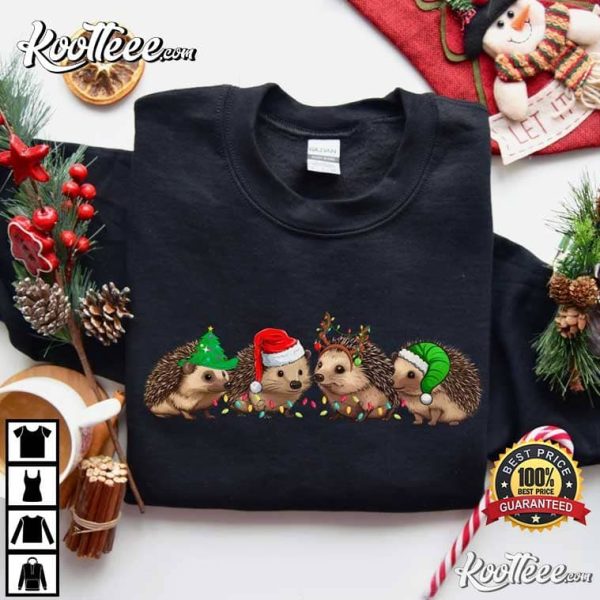 Hedgehog Merry Christmas Gift T-Shirt