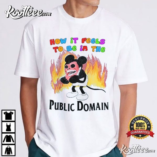 How it Feels to be in Public Domain T-Shirt