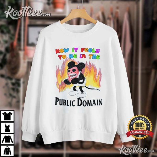 How it Feels to be in Public Domain T-Shirt