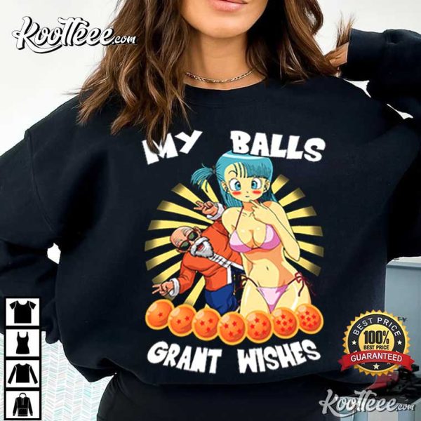 Dragon Ball My Balls Grant Wishes T-Shirt