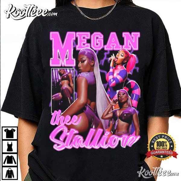Megan Thee Stallion Vintage Gift For Fan T-Shirt