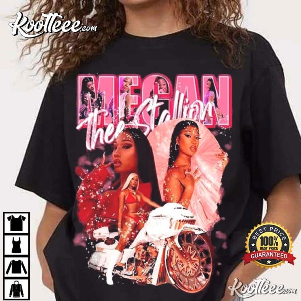 Megan Thee Stallion Vintage 90s Gift For Fan T-Shirt