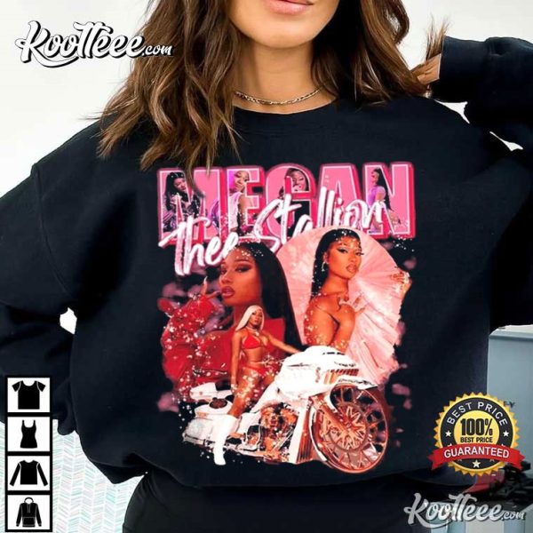 Megan Thee Stallion Vintage 90s Gift For Fan T-Shirt