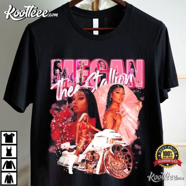 Megan Thee Stallion Vintage 90s Gift For Fan T-Shirt