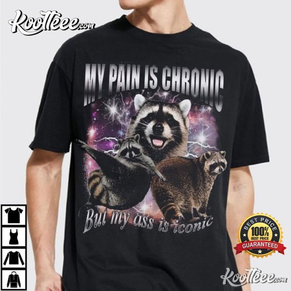 Retro Raccoon My Pain Is Chronic T-Shirt