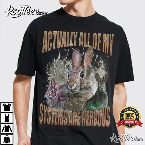 Rabbit Actually All Of My Systems Are Nervous T-Shirt