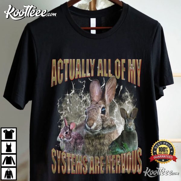 Rabbit Actually All Of My Systems Are Nervous T-Shirt