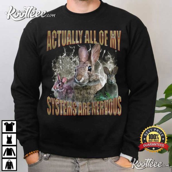 Rabbit Actually All Of My Systems Are Nervous T-Shirt