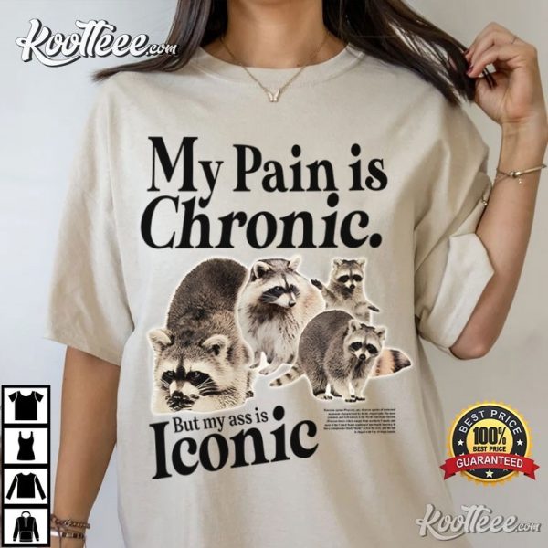 Funny Raccoon My Pain Is Chronic But My Ass Is Iconic T-Shirt