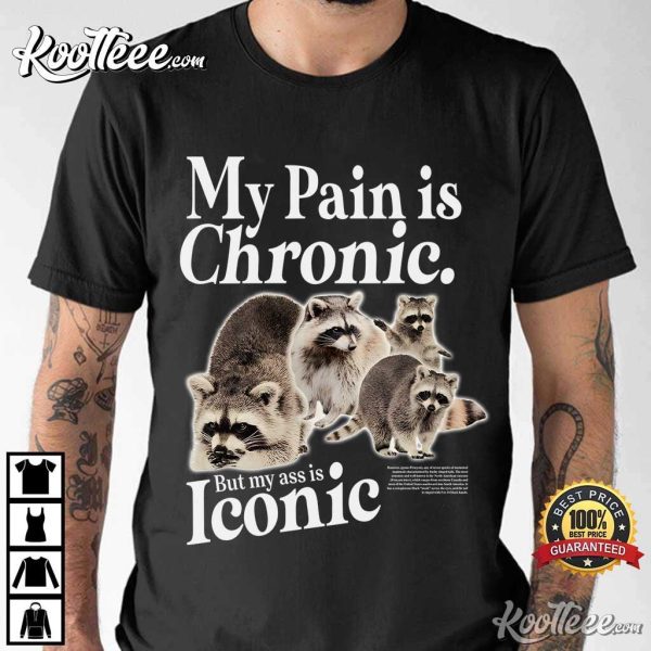 Funny Raccoon My Pain Is Chronic But My Ass Is Iconic T-Shirt