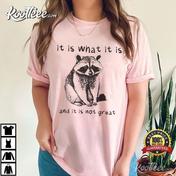Raccoon Meme It Is What It Is And It Is Not Great T-Shirt