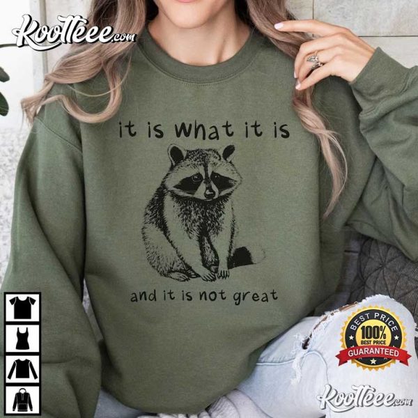Raccoon Meme It Is What It Is And It Is Not Great T-Shirt