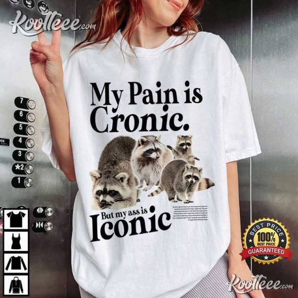 Funny Raccoon My Pain Is Chronic But My Ass Is Iconic T-Shirt