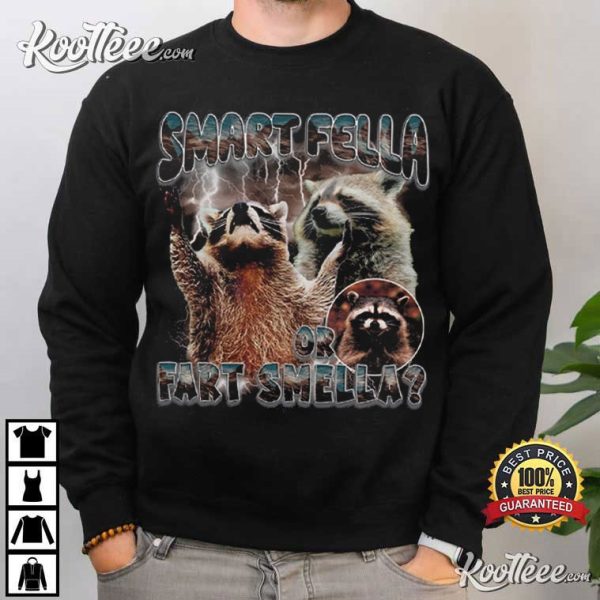Smart Fella Funny Three Raccoons Vintage T-Shirt