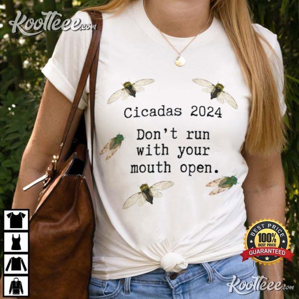 Cicadas 2024 Periodical Cicadas Brood XIII T-Shirt