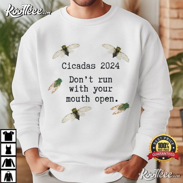 Cicadas 2024 Periodical Cicadas Brood XIII T-Shirt