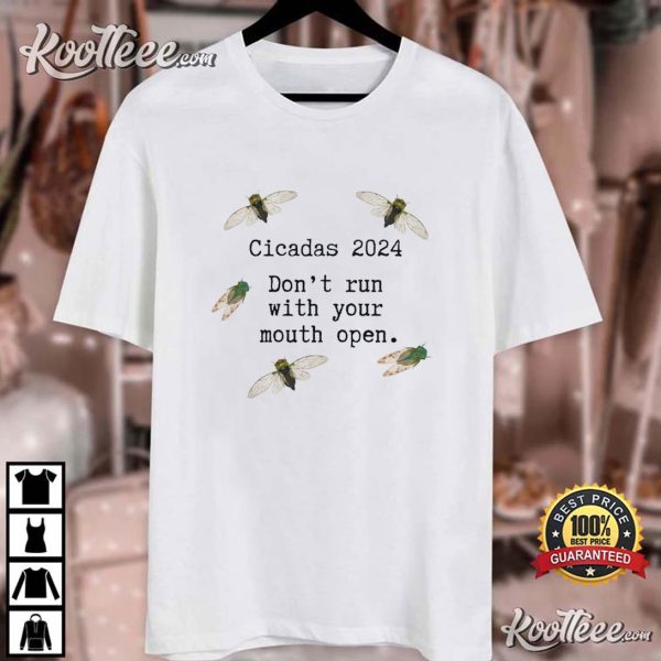 Cicadas 2024 Periodical Cicadas Brood XIII T-Shirt