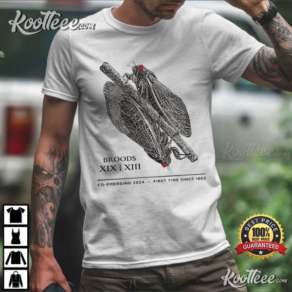 Cicada Broods XIX XIII Co-Emergence 2024 T-Shirt