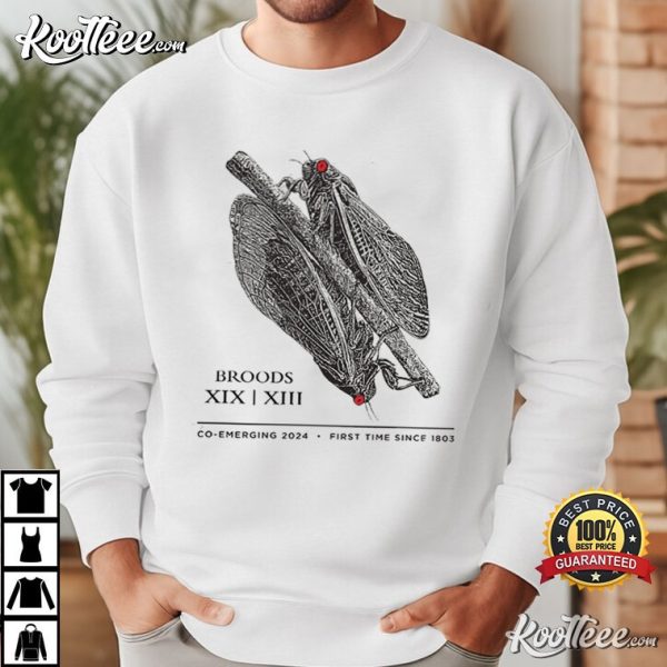 Cicada Broods XIX XIII Co-Emergence 2024 T-Shirt