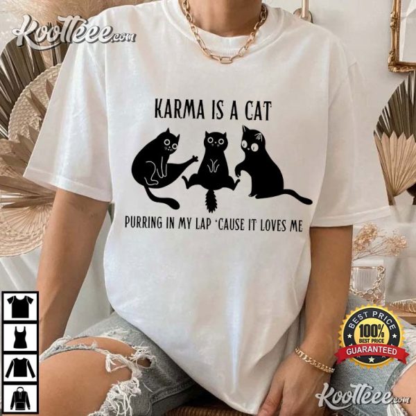 Karma Is A Cat Taylor Swift Black Cats T-Shirt