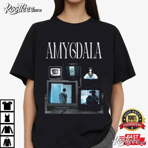 Amygdala Suga Agust D Gift For Fan T-Shirt