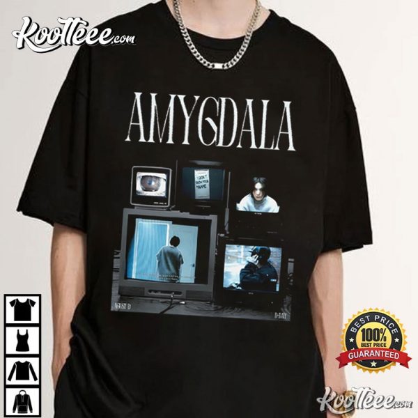 Amygdala Suga Agust D Gift For Fan T-Shirt