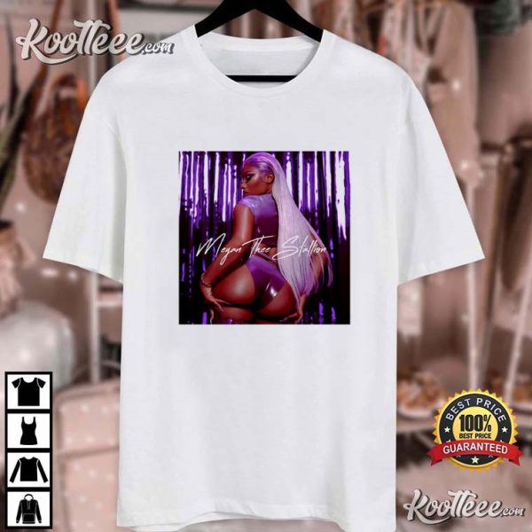 Megan Thee Stallion Vintage 90s Rapper T-Shirt