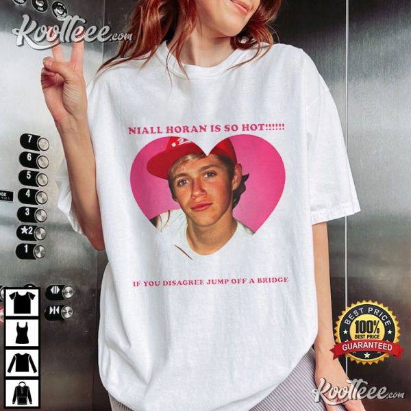 Niall Horan Is So Hot Meme T-Shirt