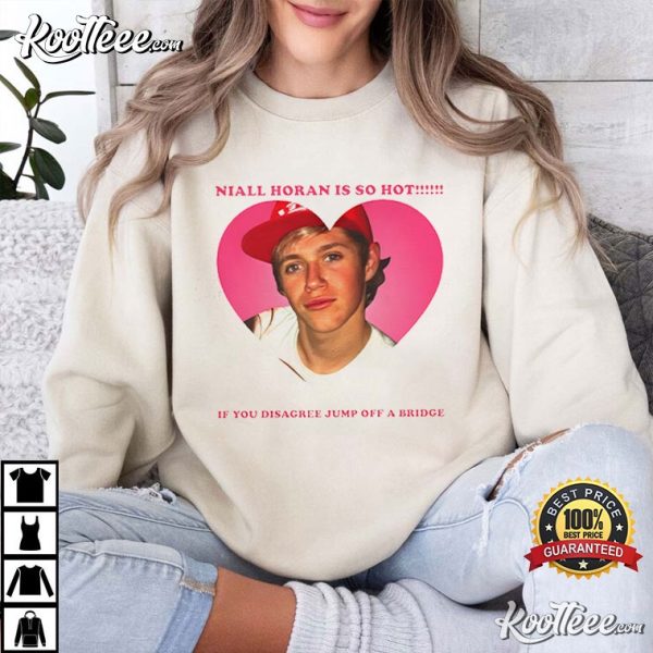 Niall Horan Is So Hot Meme T-Shirt