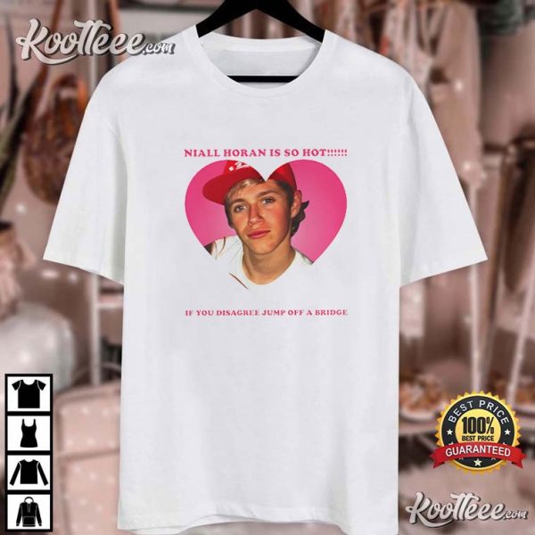 Niall Horan Is So Hot Meme T-Shirt