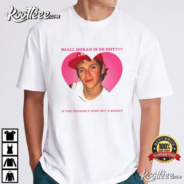 Niall Horan Is So Hot Meme T-Shirt