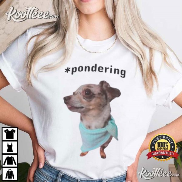 Chiweenie Pondering T-Shirt