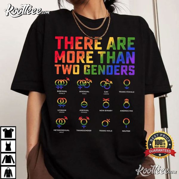 There Are More Than Two Genders LGBTQ Gift Pride Month T-Shirt