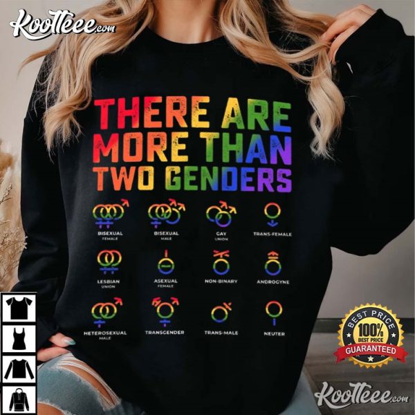 There Are More Than Two Genders LGBTQ Gift Pride Month T-Shirt