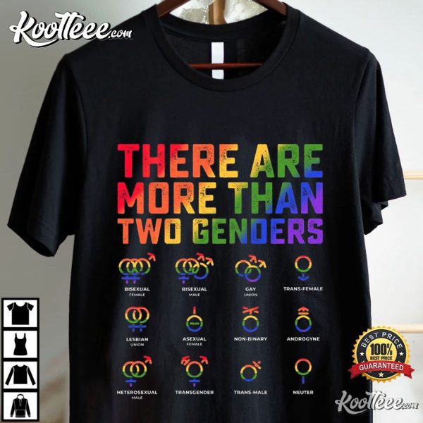 There Are More Than Two Genders LGBTQ Gift Pride Month T-Shirt