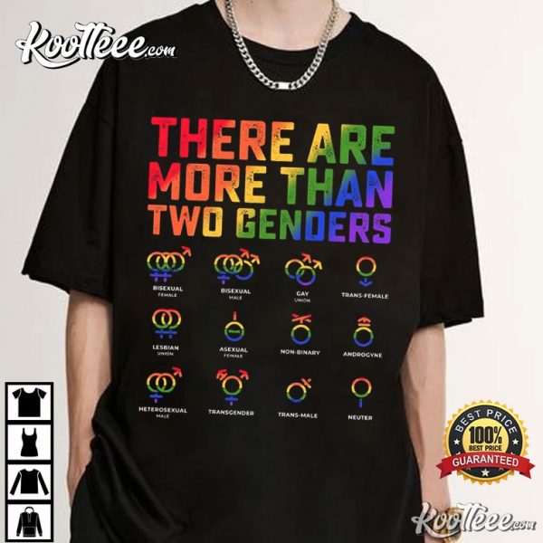 There Are More Than Two Genders LGBTQ Gift Pride Month T-Shirt