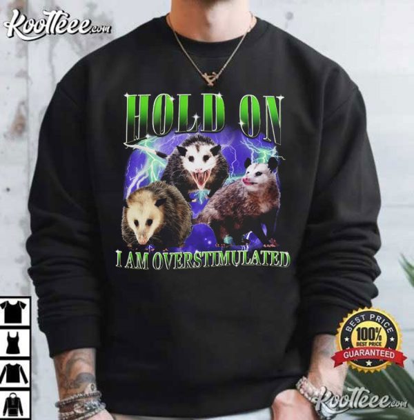 Possum Hold On I Am Overstimulated Vintage 90s T-Shirt