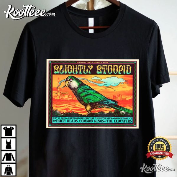 Slightly Stoopid Hartford HealthCare Amphitheater Bridgeport CT T-Shirt