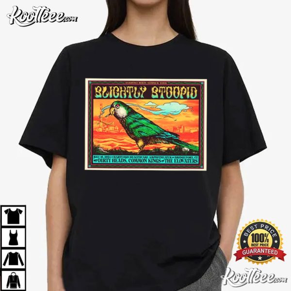 Slightly Stoopid Hartford HealthCare Amphitheater Bridgeport CT T-Shirt