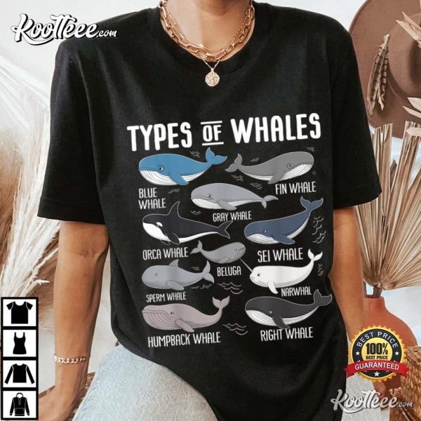 Types Of Whales Ocean Mammals Guide Whale T-Shirt