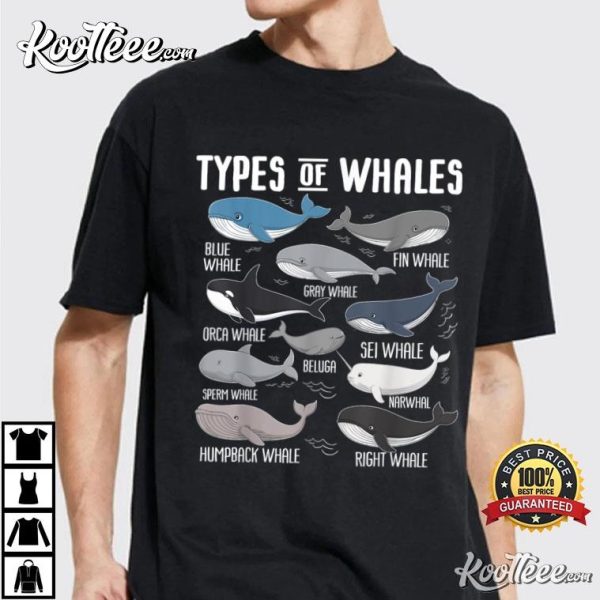 Types Of Whales Ocean Mammals Guide Whale T-Shirt