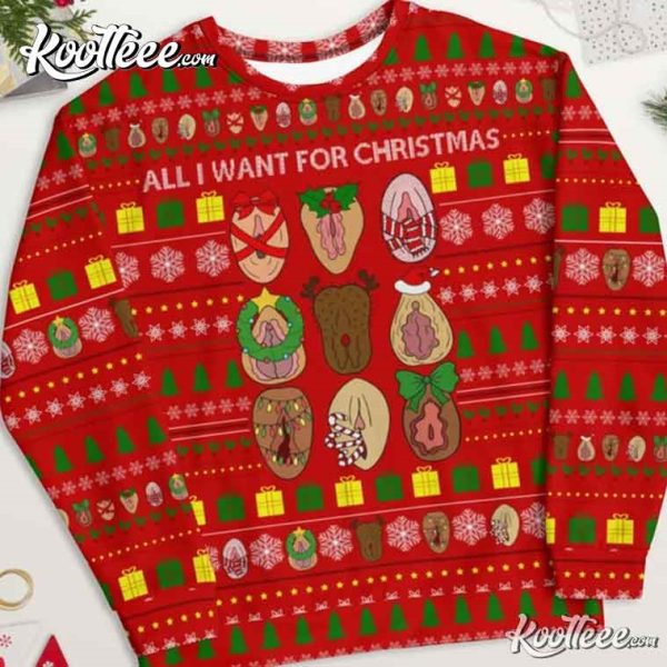 Funny Vagina All I Want For Christmas Ugly Christmas Sweater