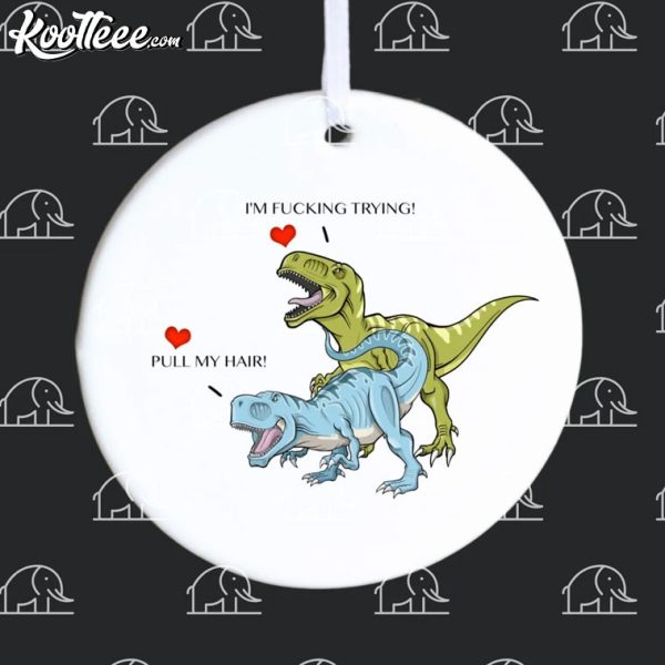 Dinosaurs Pull My Hair Funny Gag Gift Ornament