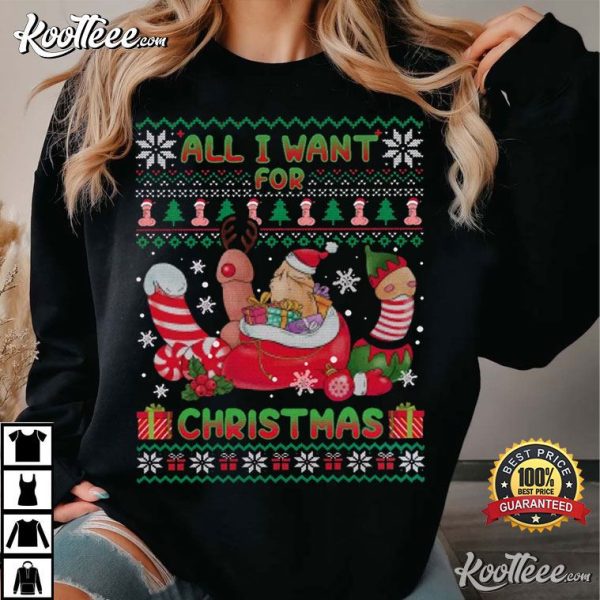 All I Want For Christmas Naughty Holiday Gift T-Shirt