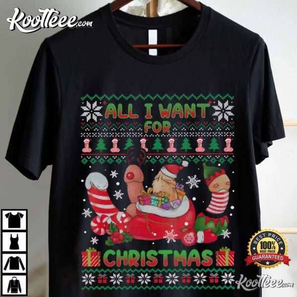 All I Want For Christmas Naughty Holiday Gift T-Shirt