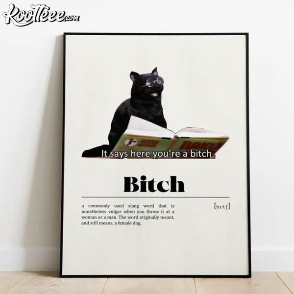 Sabrina Salem Cat Bitch Meme Poster