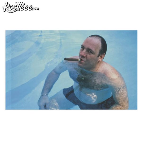 Tony Soprano Cigar Pool Funny Meme Flag