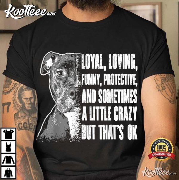 Pitbull Lover Rescue Shelter Dog Gift T-Shirt